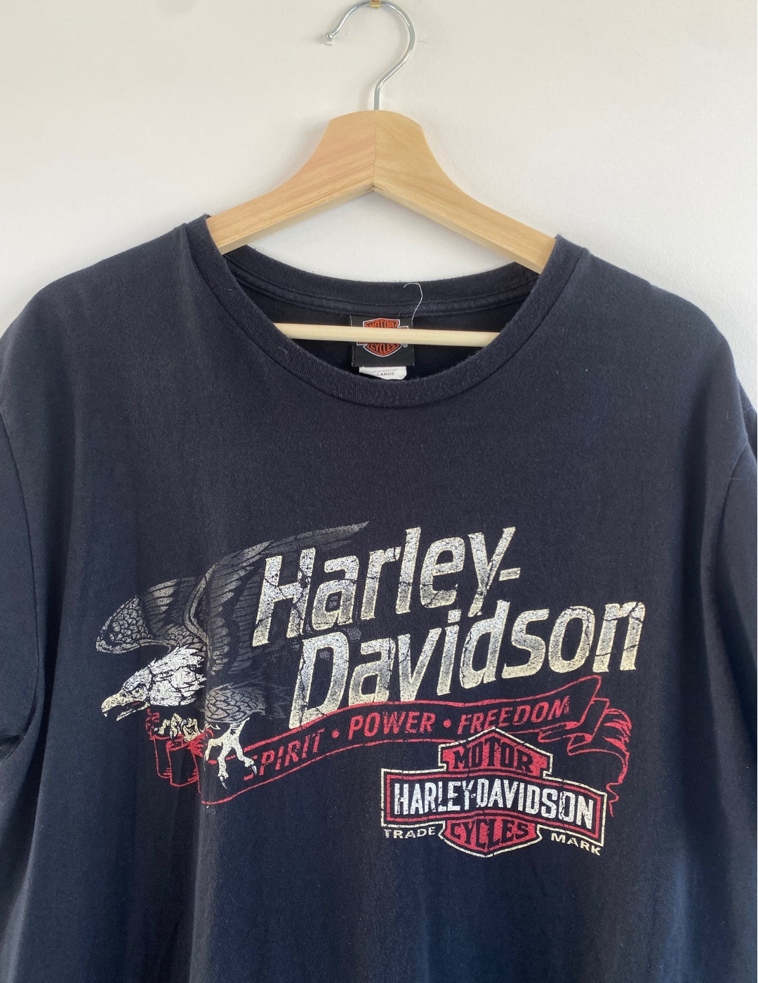 Vintage Black Delano, Minnesota Harley Davidson Tee (XL) - 001